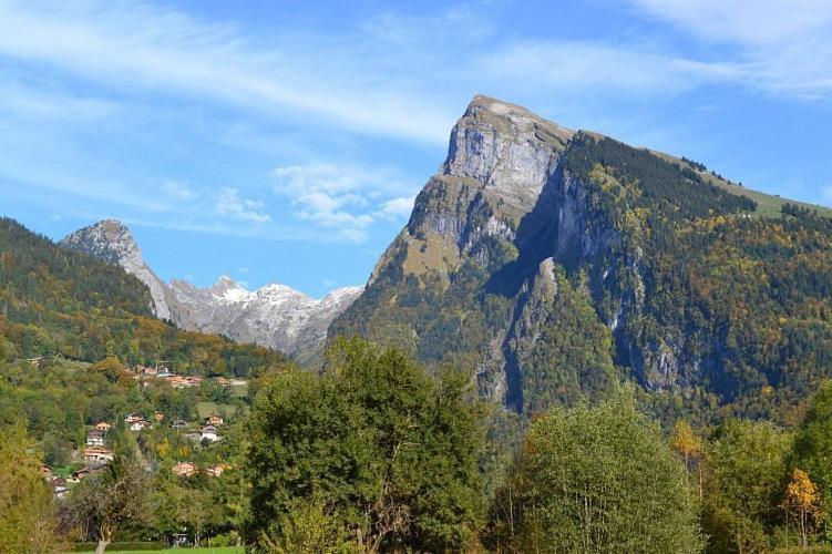 Samoens 1600 Studio Au Pied Des Pistes المظهر الخارجي الصورة